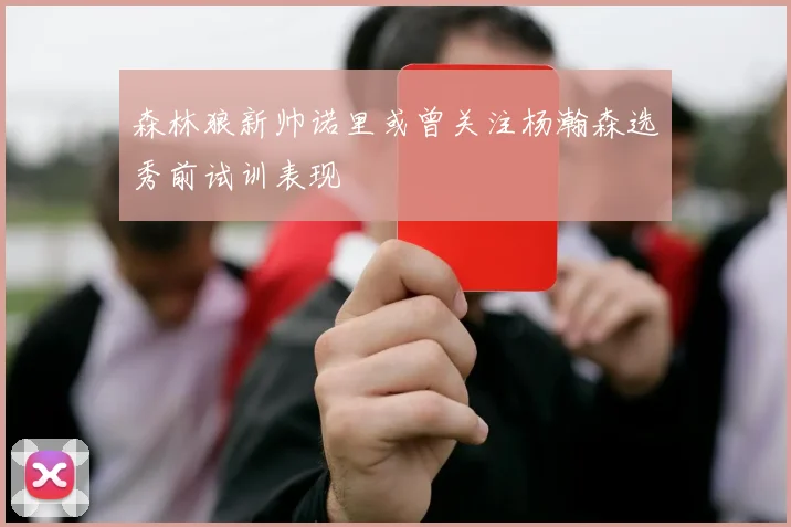 森林狼新帅诺里或曾关注杨瀚森选秀前试训表现